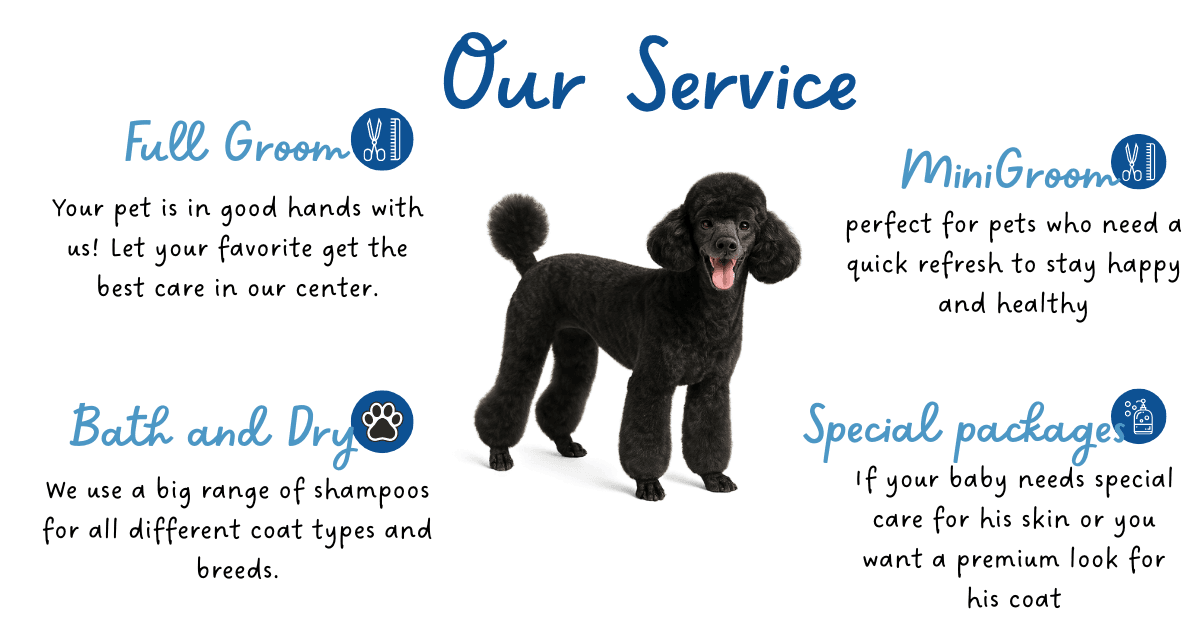 Services Furkids Pet Grooming